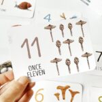 Flashcards - Conteo y números